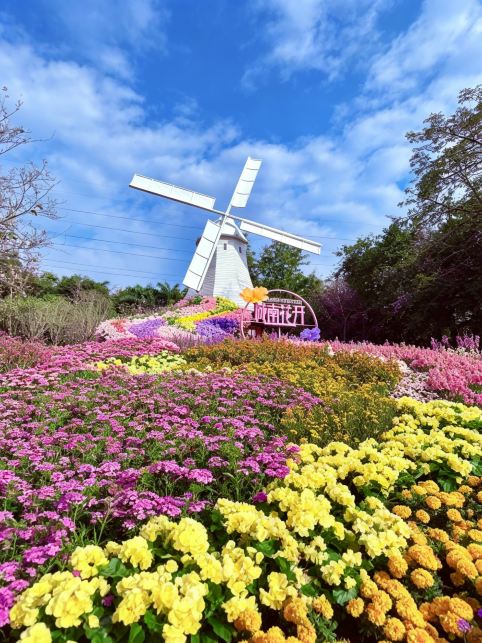 Shenzhen hides a 