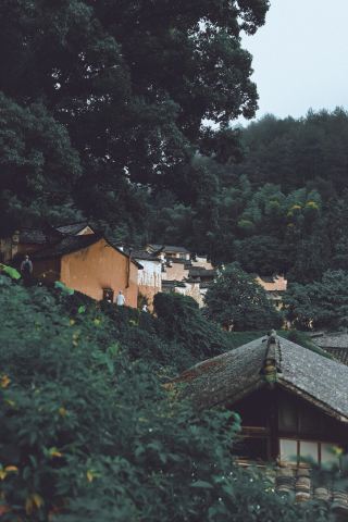 煙雨村落｜雨中楊家堂一日遊攻略！