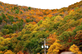 Charming Towns Around Philadelphia | Vibrant and Colorful Jim Thorpe
