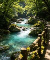 神泉山莊遛娃寶典