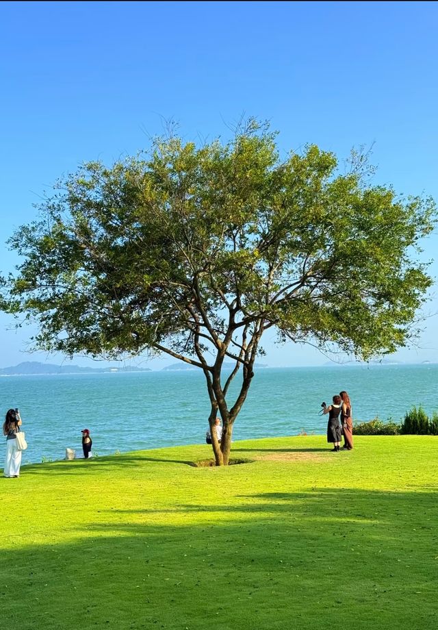 環島路婚紗村·溪頭下藍海礁石半日漫遊|Trip.com 廈門