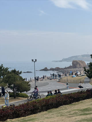 海邊白橋漫步指南