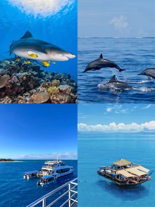 It’s not that Bali is unaffordable, but Fiji is just more comfortable when you do it this way~