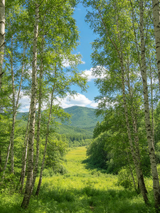 Don't stress about what to wear to Changbai Mountain; you really don't need to pack these items