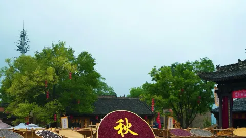 Xi'an Travel | Fell in love with a city because of a show~ — traveler post in Xi'an