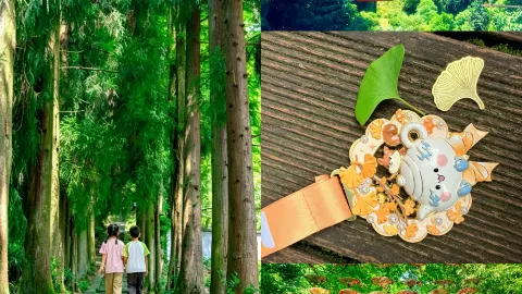 초가을 가족과 함께 룽창거우로 하이킹을 가서 폭포를 구경하고 싱싱한 죽순을 따왔습니다. — traveler post in 야안