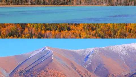 Girls, you get it!! Autumn in Altay is truly breathtakingly beautiful — traveler post in Karamay