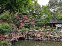 ชมความงานของสวนดอกไม้ สไตล์จีน