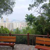 從鰂魚涌步行至大潭家樂徑途經小馬山