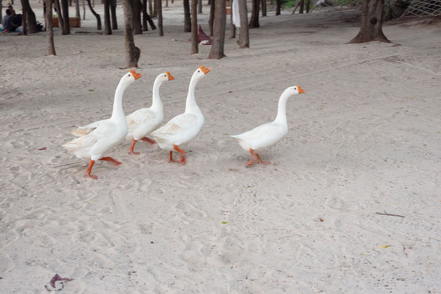  One day trip | I Love Koh Larn | หาดเทียน เกาะล้าน