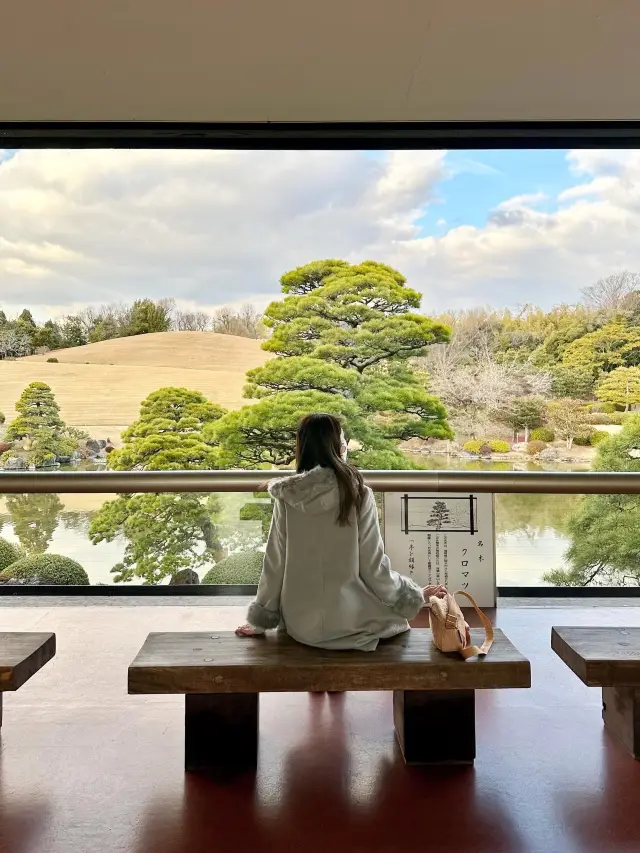 日本大阪萬博紀念公園🇯🇵