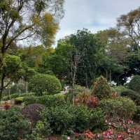 元朗公園悠閒好去處