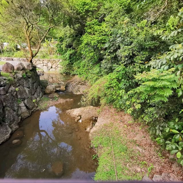 花開正好-大溝溪生態治水園區