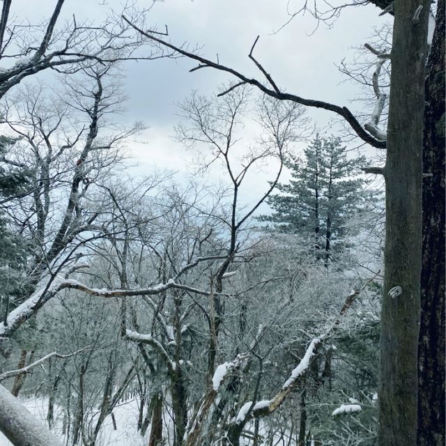 오대산 비로봉 눈꽃여행
