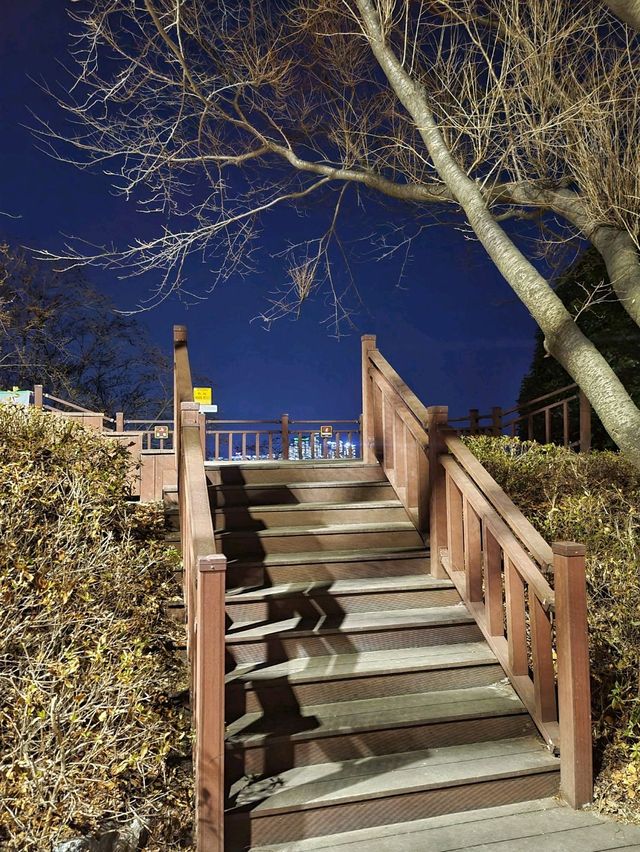 부산에서 야경 보기 좋은 곳🌃