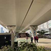東九龍親子樂園，觀塘海濱音樂噴泉花園💐🌷🌹🌺