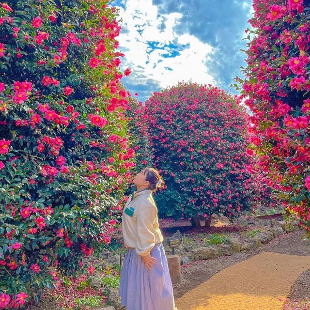 제주도 가고싶어지는 여행 코스 추천 🥰