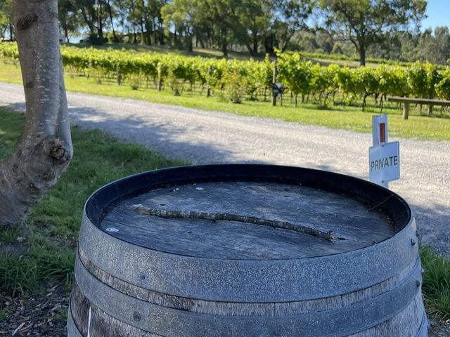 墨爾本酒莊野餐啦Waratah Hills Vineyard～😍不一樣的體驗😙酒莊，logo設計靈感來自於原住民