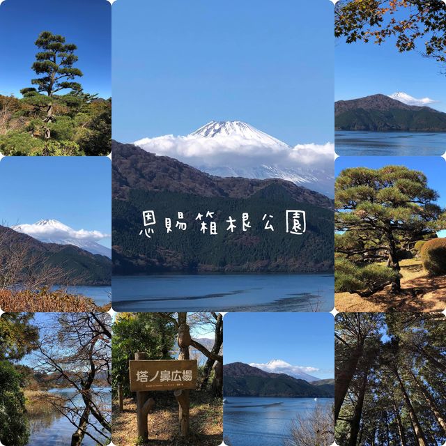 日本🇯🇵輕鬆郊游徑🫶🏻享受大自然☺️森林系旅行🧳