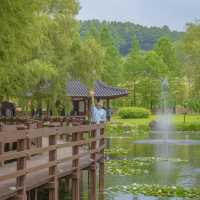 담양의 자랑 “죽녹원”🎋