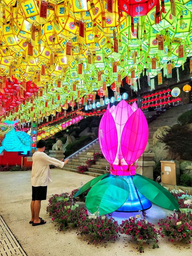 CNN선정 한국의 아름다운 명소, 삼광사 연등축제🪷✨️