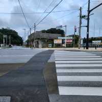 知念岬公園 戀愛平原