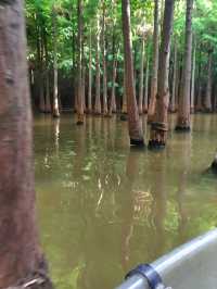 到昆明‘撈漁河濕地公園’划船去-位置實戰攻略