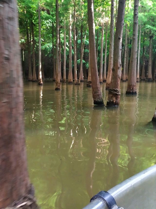到昆明‘撈漁河濕地公園’划船去-位置實戰攻略