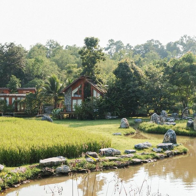 บ้านนาก๋างโต้ง Baan Na Kang Tong 🌾 จ. น่าน