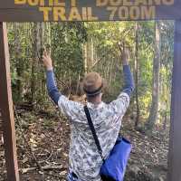 Bohey dulang trail incredible…