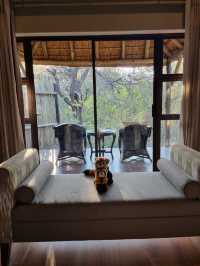 Amazing Safari Stay At Pilanesberg