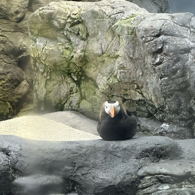 大阪海遊館