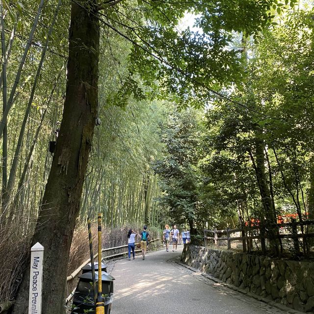 嵐山竹林の小径（ちくりんのこみち）京都の人気観光スポット
