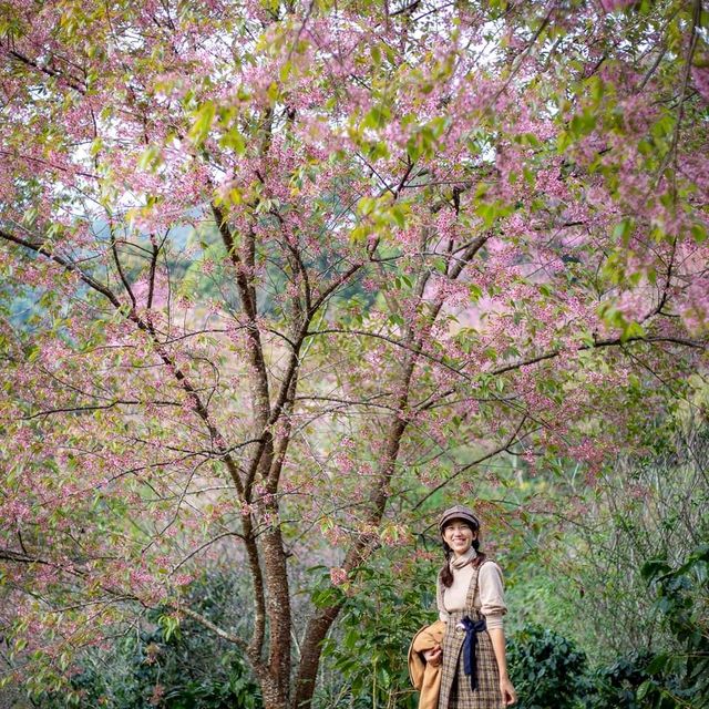 พญาเสือโคร่ง...ขุนช่างเคี่ยน🌸🌸