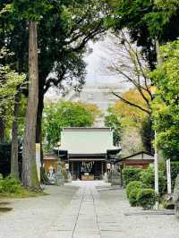 【神奈川県/星川杉山神社】地元密着！高台にある心優しい神社