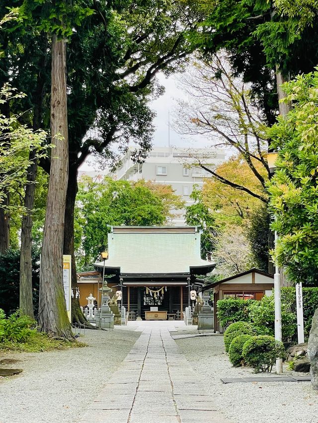 【神奈川県/星川杉山神社】地元密着！高台にある心優しい神社