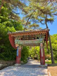 양평 아름다운 숲을 구경할 수 있는 용문사🌳
