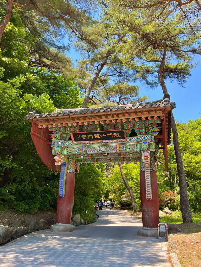 양평 아름다운 숲을 구경할 수 있는 용문사🌳
