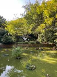 秋天必去的好去處，九龍公園！🍂🍁