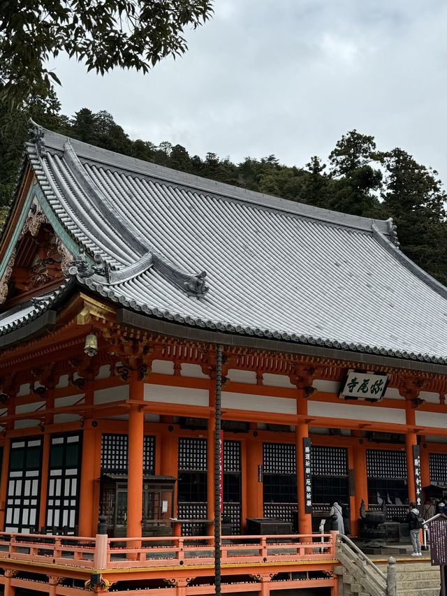 It’a red world 🇯🇵🇯🇵 Katsuoji Temple !!