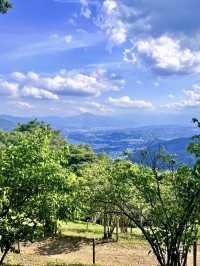 【長瀞強力パワースポット】宝登山神社奥宮