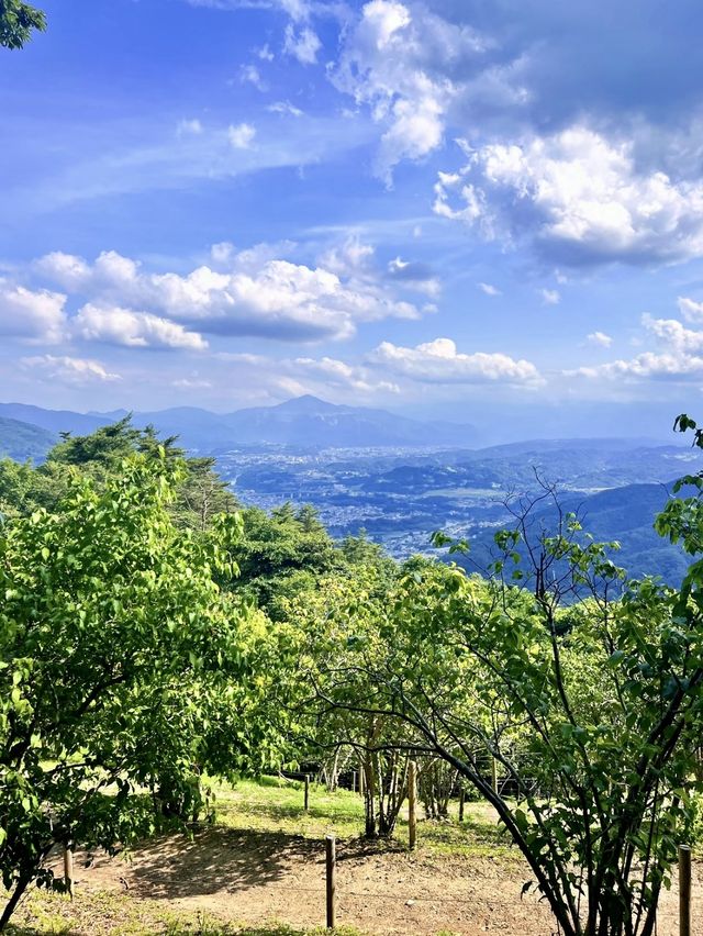 【長瀞強力パワースポット】宝登山神社奥宮
