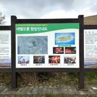 제주 황금억세 가득한 새별오름의 감동샷