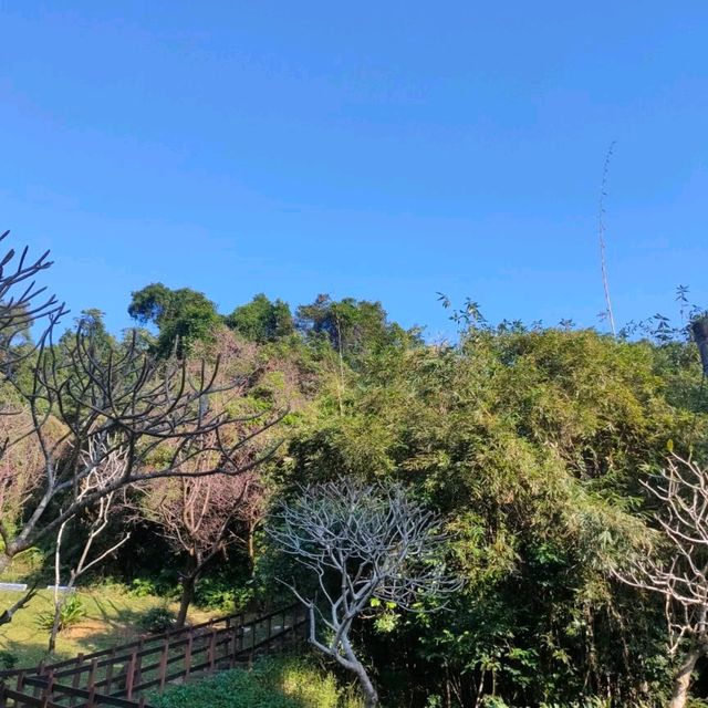 幽靜的碧湖登山步道