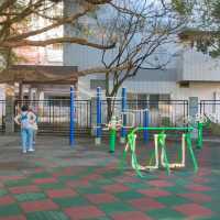 碧湖公園-兒童共融遊戲場