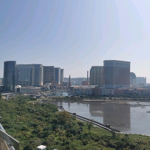 另一角度欣賞路氹金光大道