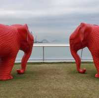 Cracking Art in Harbour City