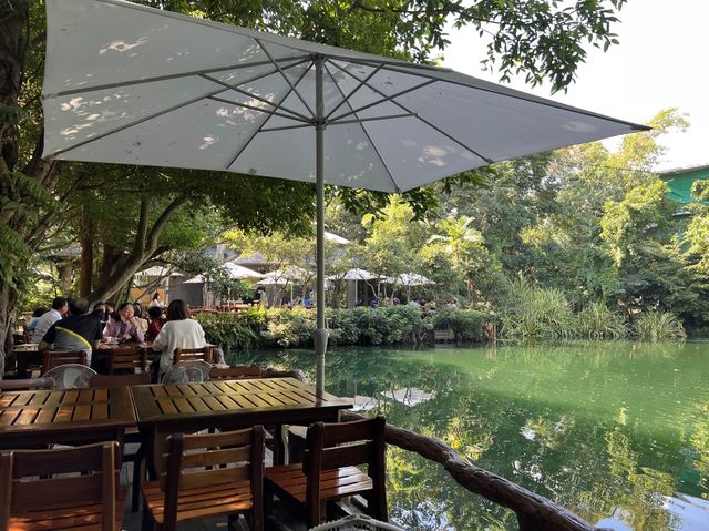 ร้านอร่อย บรรยากาศเหมือนทานในป่า ร่มรื่นมาก