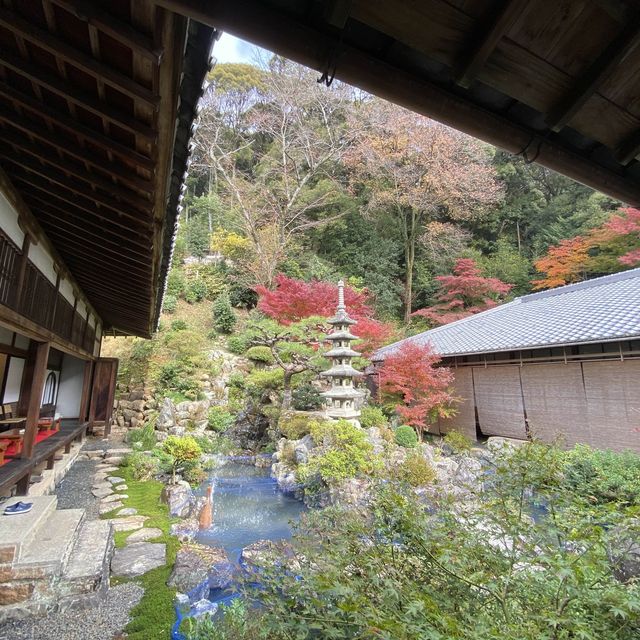 神秘古剎—日本京都宇治市「興聖寺」
