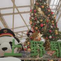 成田空港から一本「上野動物園」